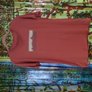 Tags Still On! Patagonia SMALL Cotton Shirt